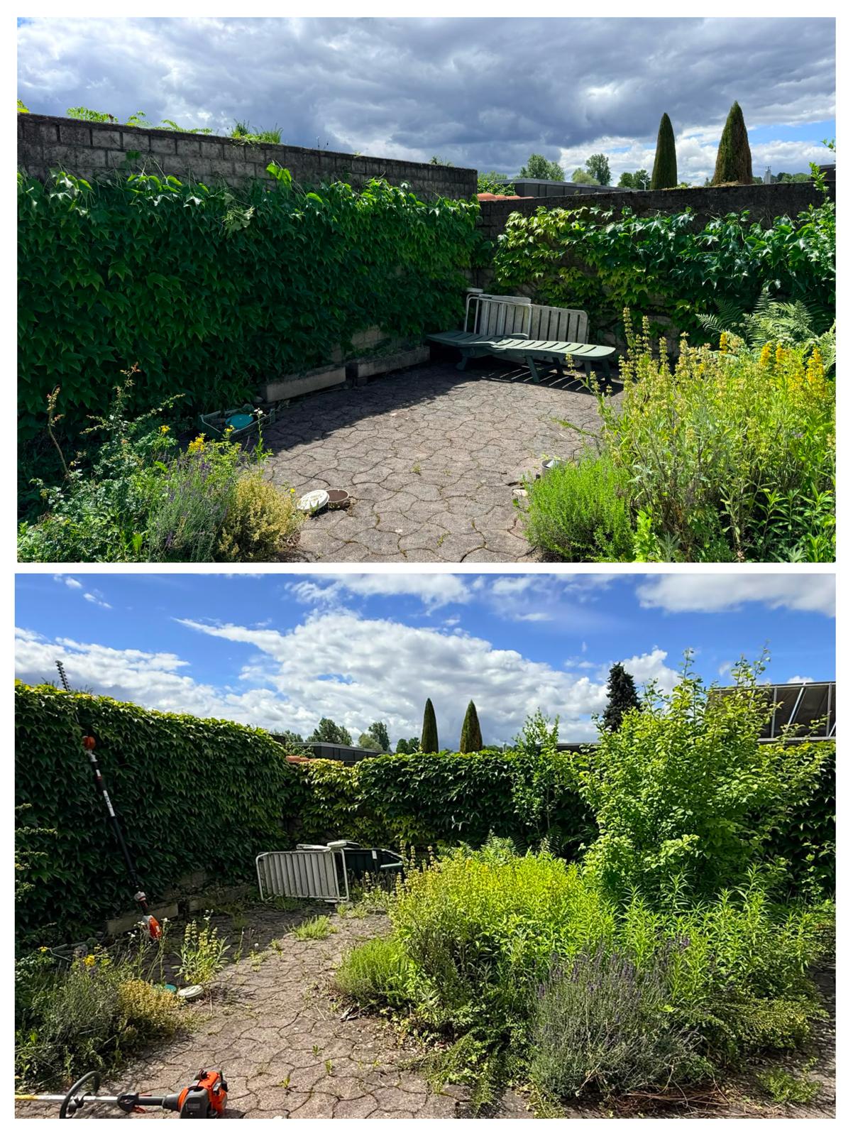 Grünfix Gartenservice Projekt 9 – Gartenpflege im Ortenaukreis